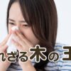 知られざるスギの世界