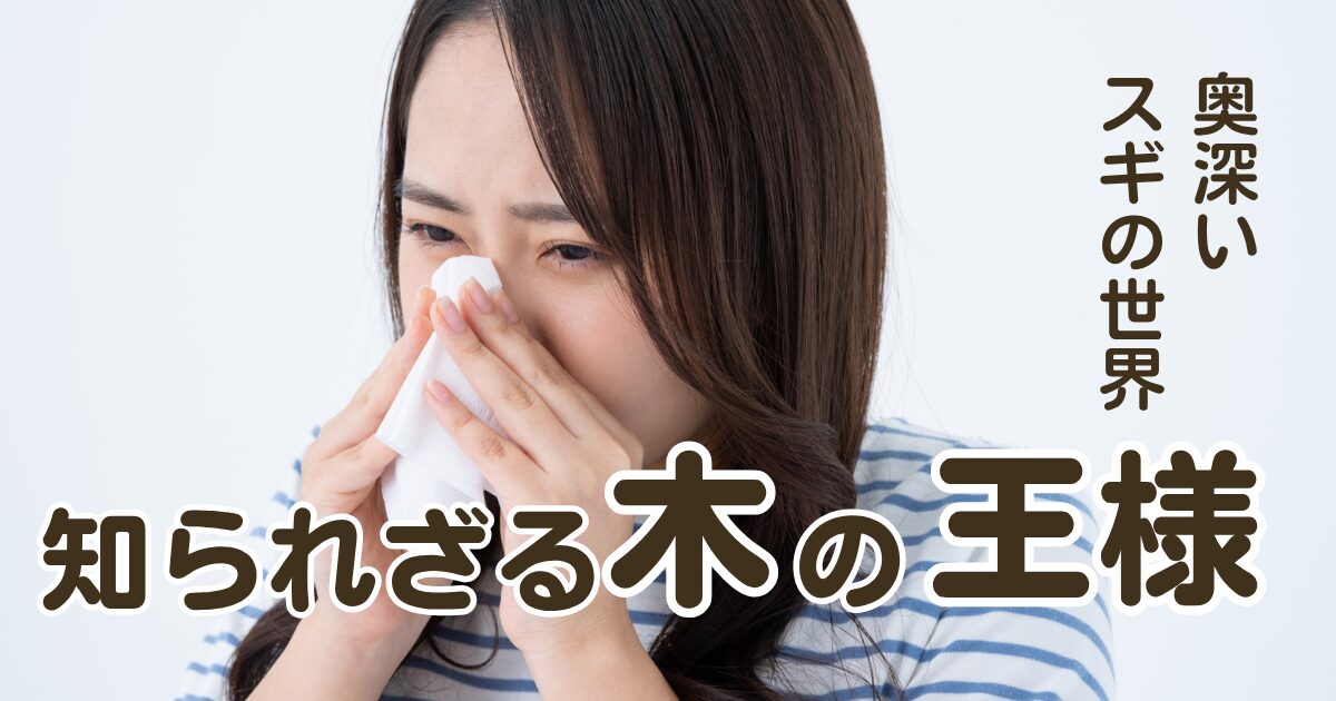 知られざるスギの世界