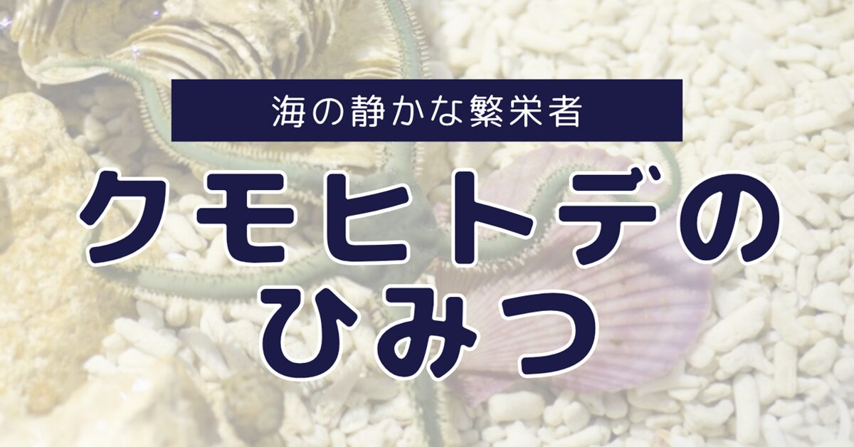 クモヒトデのひみつ