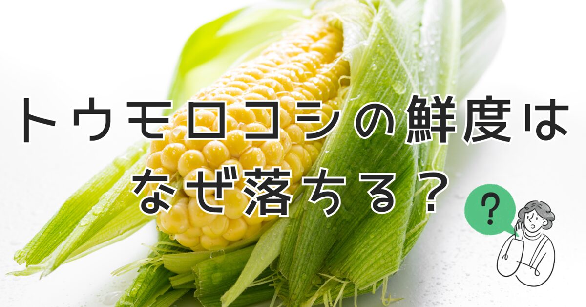 トウモロコシの鮮度はなぜ落ちる