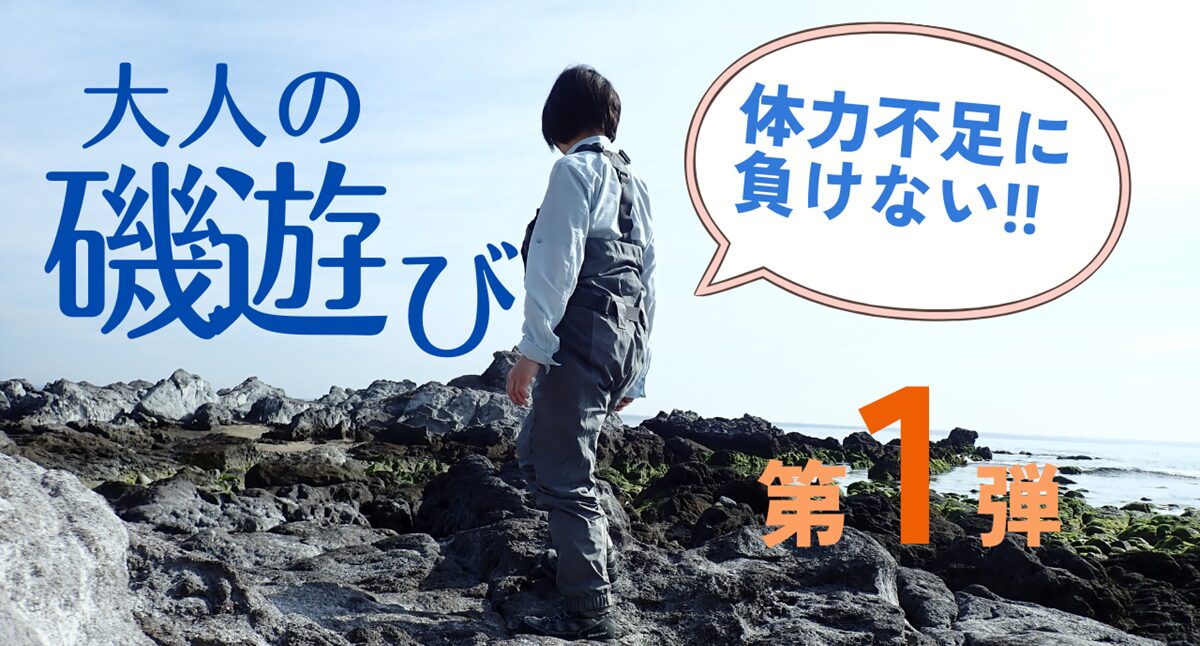 大人の磯遊び第1弾